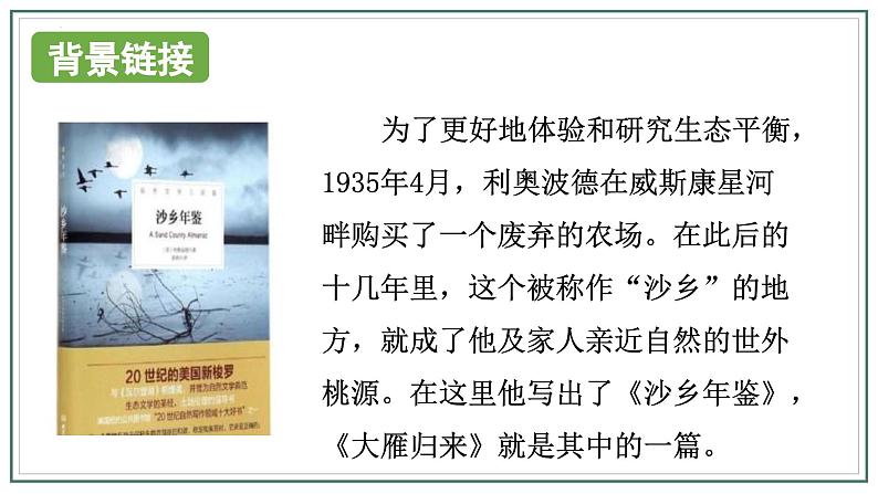 人教版部编版2024七年级上册语文第19课 《大雁归来》：聆听雁声雁语 课件+分层作业含解析版08
