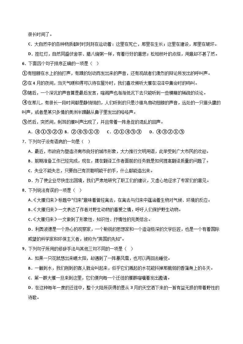 人教版部编版2024七年级上册语文第19课 《大雁归来》：聆听雁声雁语 课件+分层作业含解析版02