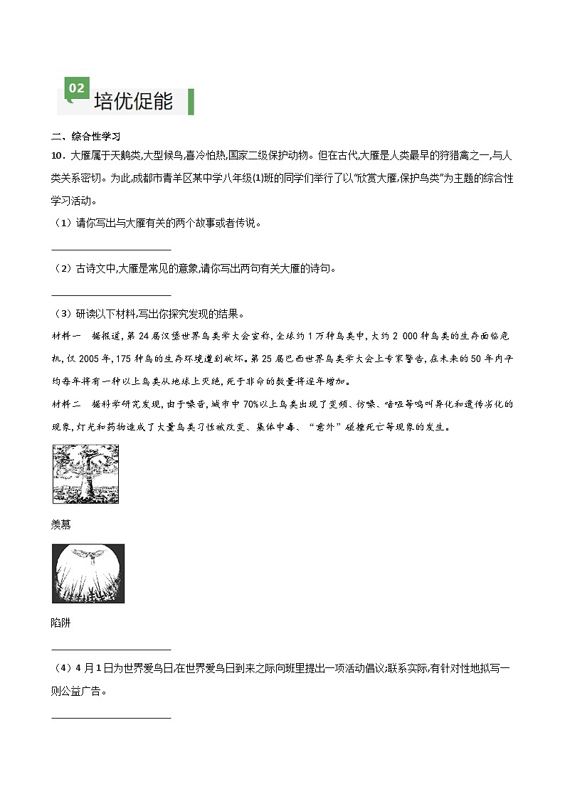 人教版部编版2024七年级上册语文第19课 《大雁归来》：聆听雁声雁语 课件+分层作业含解析版03