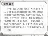 人教版部编版2024七年级上册语文第20课 《狼》：狭路相逢勇者胜 课件+分层作业含解析版