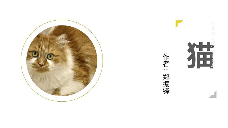 统编版（2024）七年级语文上册17猫课件第1页