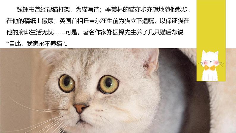 统编版（2024）七年级语文上册17猫课件第2页