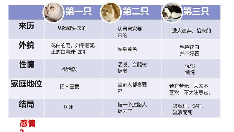 统编版（2024）七年级语文上册17猫课件第7页