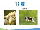 統(tǒng)編版（2024）七年級(jí)語文上冊(cè)17貓課件