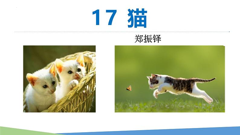 统编版（2024）七年级语文上册17猫课件第1页