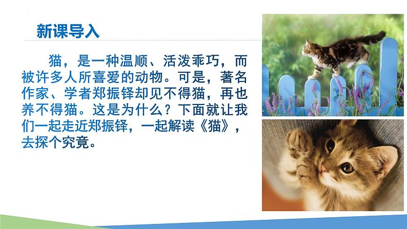 统编版（2024）七年级语文上册17猫课件第2页