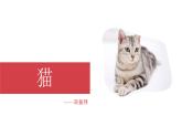 統(tǒng)編版（2024）七年級(jí)語文上冊(cè)17貓課件
