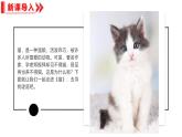 統(tǒng)編版（2024）七年級(jí)語文上冊(cè)17貓課件