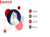 統(tǒng)編版（2024）七年級(jí)語文上冊(cè)17貓課件
