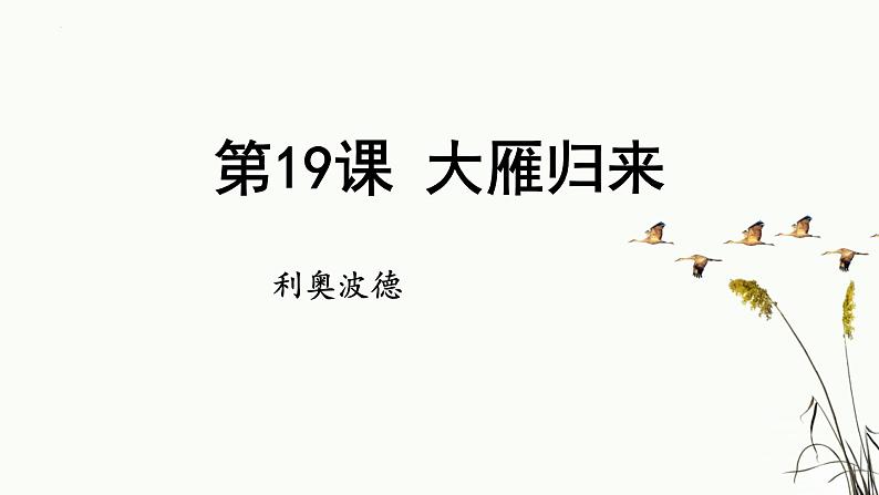 统编版（2024）七年级语文上册19大雁归来课件01