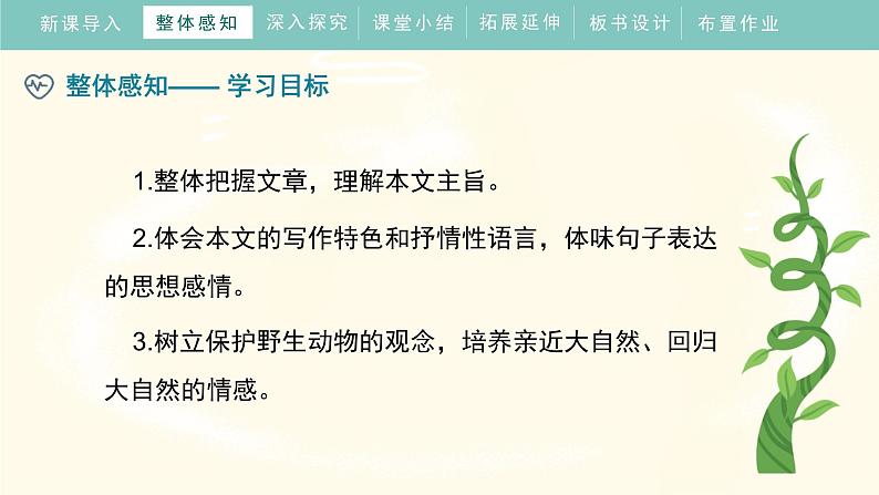 统编版（2024）七年级语文上册19大雁归来课件第6页