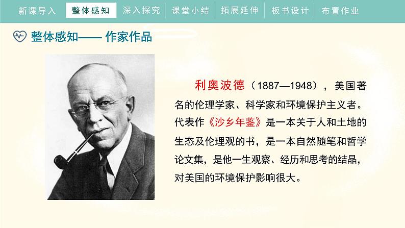 统编版（2024）七年级语文上册19大雁归来课件第7页