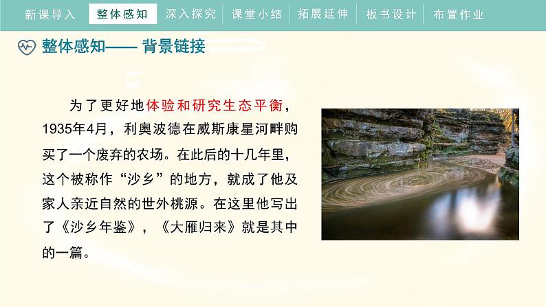 统编版（2024）七年级语文上册19大雁归来课件第8页