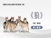 统编版（2024）七年级语文上册20狼第二课时课件