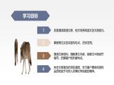 统编版（2024）七年级语文上册20狼第一课时课件