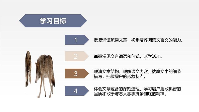 统编版（2024）七年级语文上册20狼第一课时课件第2页