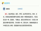 统编版（2024）八年级语文上册4一着惊海天——目击我国航母舰载战斗机首架次成功着舰ppt课件