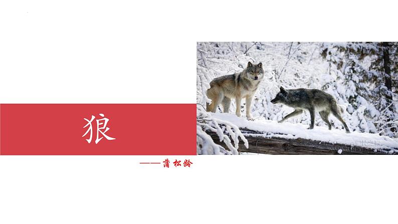 统编版（2024）七年级语文上册20狼课件（同课异构二）第1页