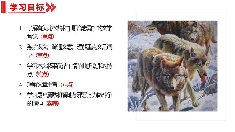 统编版（2024）七年级语文上册20狼课件（同课异构二）第2页