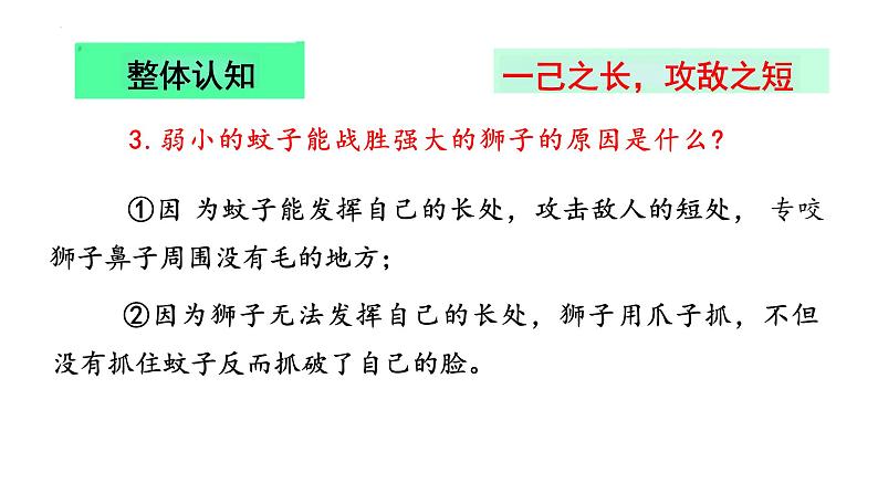 统编版（2024）七年级语文上册24寓言四则-蚊子和狮子课件第7页