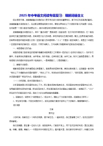 2025年中考语文阅读专题复习：理解词语含义（含练习题及答案）