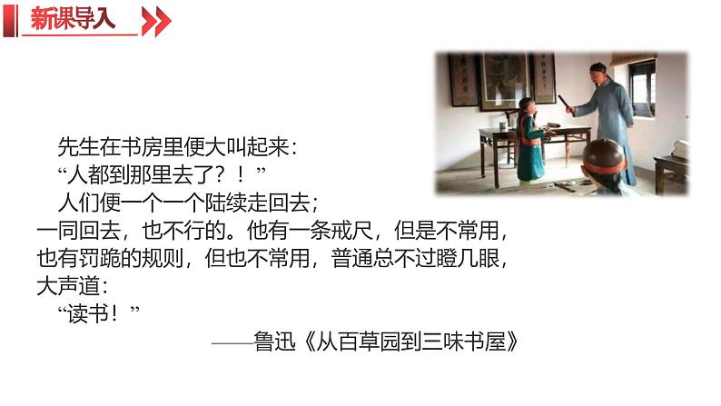 统编版（2024）八年级语文上册6藤野先生ppt课件第2页