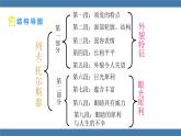 统编版（2024）八年级语文上册第8课列夫托尔斯泰课件