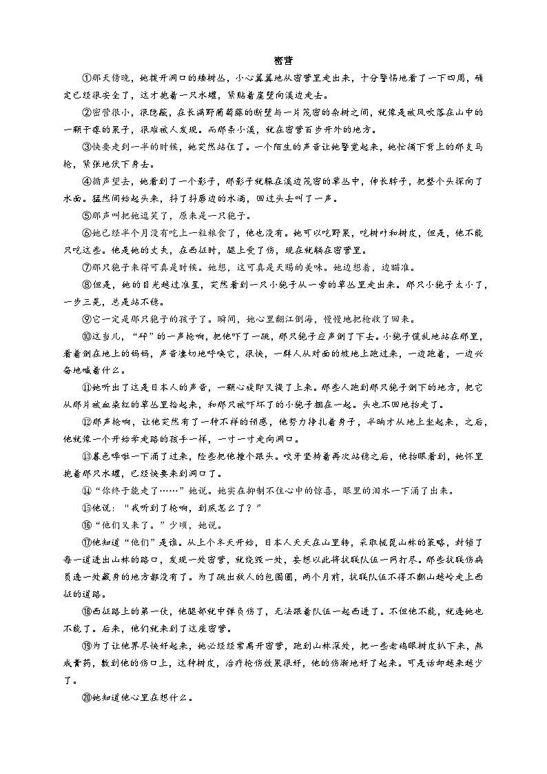 中考语文二轮专题  中考小说人物形象的概括分析专题复习（课件+导学案+教案）02