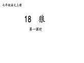 最新统编版七年级语文上册18狼【第一课时】（课件）