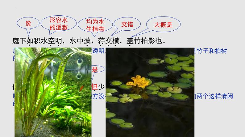 统编版（2024）八年级语文上册11短文二篇-记承天寺夜游课件（同课异构三）第8页