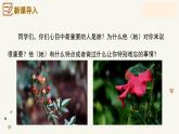 专题17 写感受最深的人或事 小标题作文技巧-2024-2025学年六年级语文上册单元写作深度指导（统编版2024·五四学制）课件