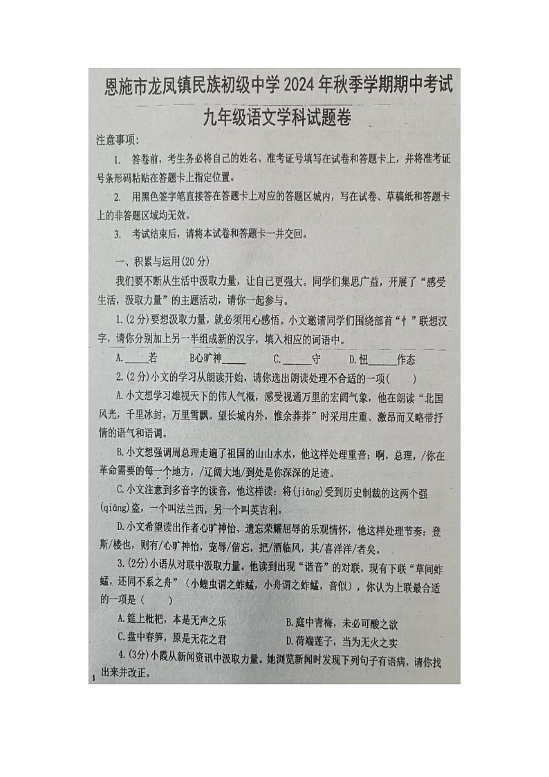 湖北省恩施市龙凤镇民族初级中学2024-2025学年九年级上学期10月期中语文试题01