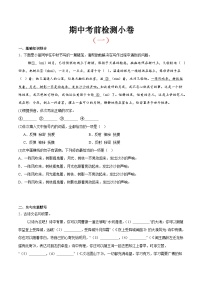 考前检测小卷（一）（附答案） 2024—2025学年七年级语文上册期中测试小卷（浙江版）