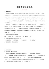 考前检测小卷（一）（附答案） 2024—2025学年八年级语文上册期中测试小卷（浙江版）