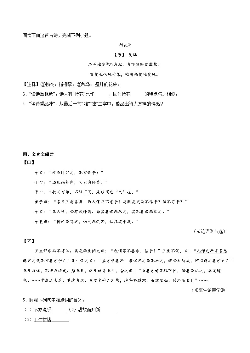 考前检测小卷（三）（附答案） 2024—2025学年七年级语文上册期中测试小卷（浙江版）第3页