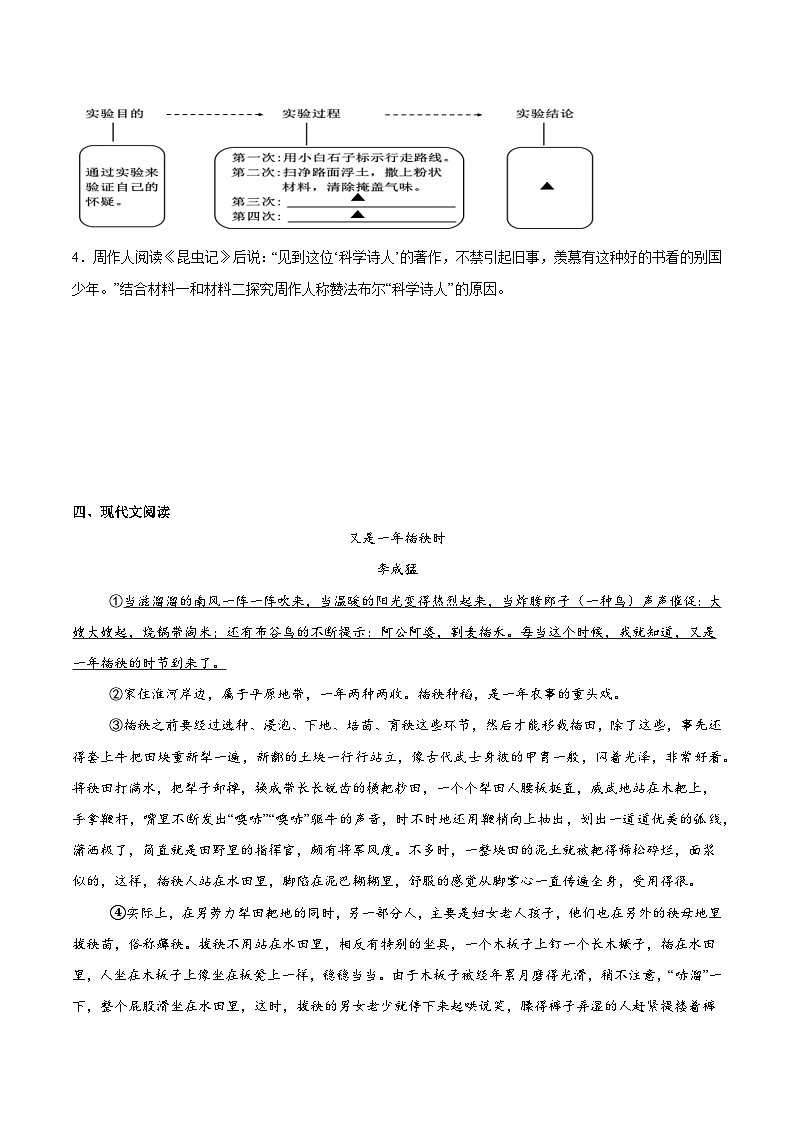 考前检测小卷（三）（附答案） 2024—2025学年八年级语文上册期中测试小卷（浙江版）第3页