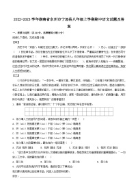 2022-2023学年湖南省永州市宁远县八年级上学期期中语文试题及答案