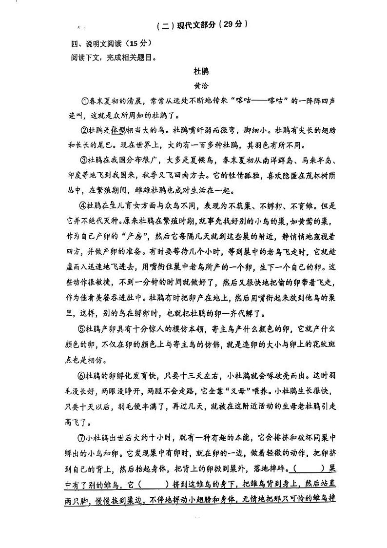 上海华东师范大学附属进华中学2024-2025学年七年级上学期期中测试语文试题第3页