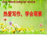 第一单元写作《热爱写作，学会观察》课件-2024-2025学年统编版语文七年级上册（2024）