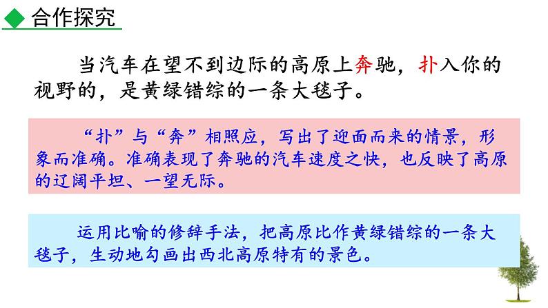 统编版（2024）八年级语文上册15白杨礼赞第二课时课件第4页