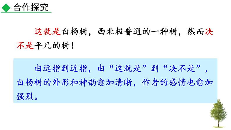 统编版（2024）八年级语文上册15白杨礼赞第二课时课件第6页