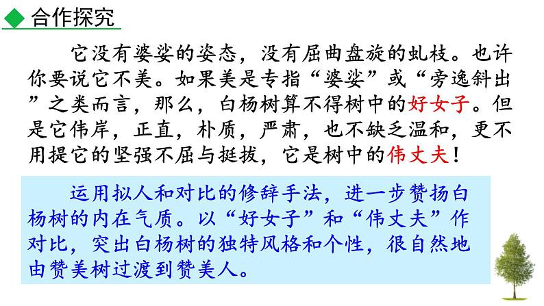 统编版（2024）八年级语文上册15白杨礼赞第二课时课件第7页