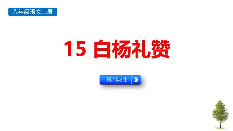 统编版（2024）八年级语文上册15白杨礼赞第一课时课件第1页