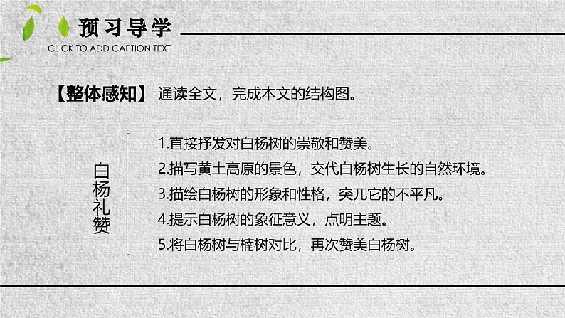 统编版（2024）八年级语文上册15白杨礼赞课件（同课异构三）第4页