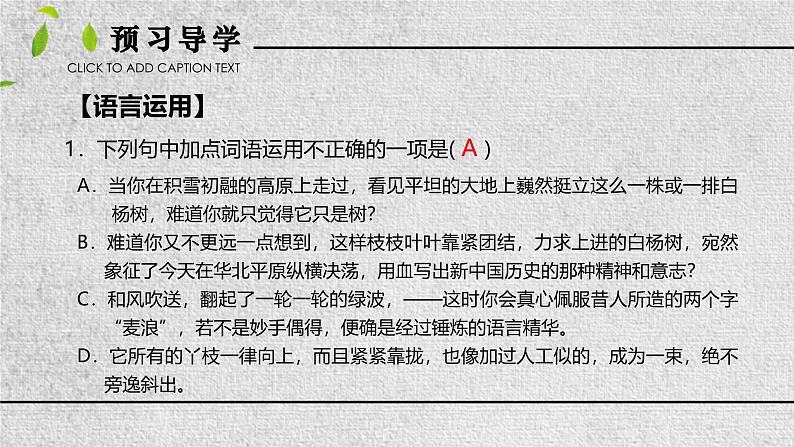 统编版（2024）八年级语文上册15白杨礼赞课件（同课异构三）第7页