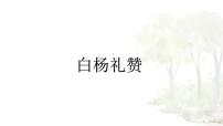 人教部编版（2024）八年级上册白杨礼赞课前预习ppt课件
