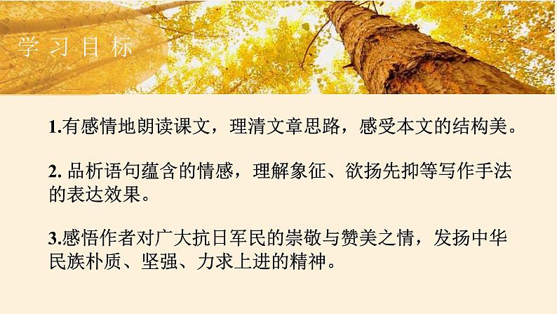 统编版（2024）八年级语文上册15白杨礼赞课件（同课异构五）04