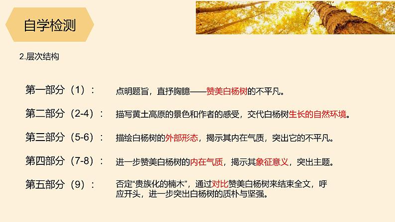 统编版（2024）八年级语文上册15白杨礼赞课件（同课异构五）06