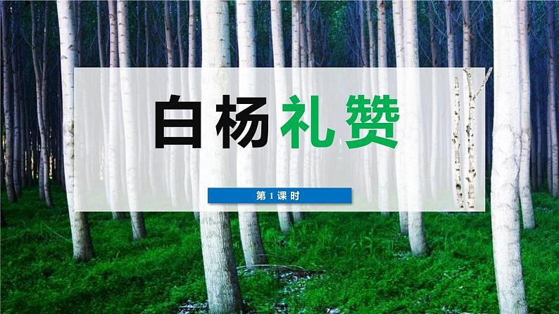 统编版（2024）八年级语文上册15白杨礼赞课件（同课异构一）第1页