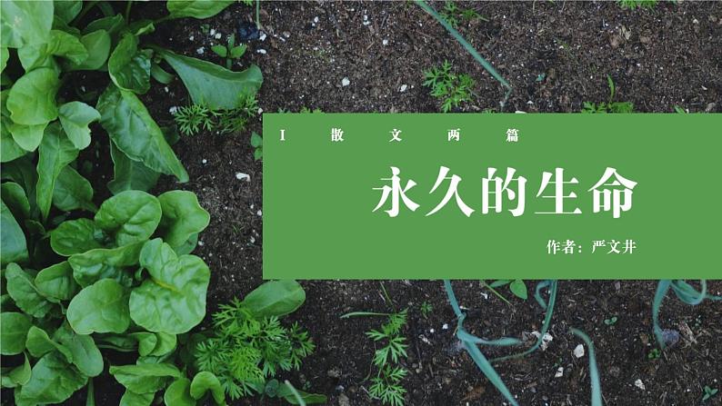 统编版（2024）八年级语文上册16散文二篇-永久的生命课件（同课异构二）01